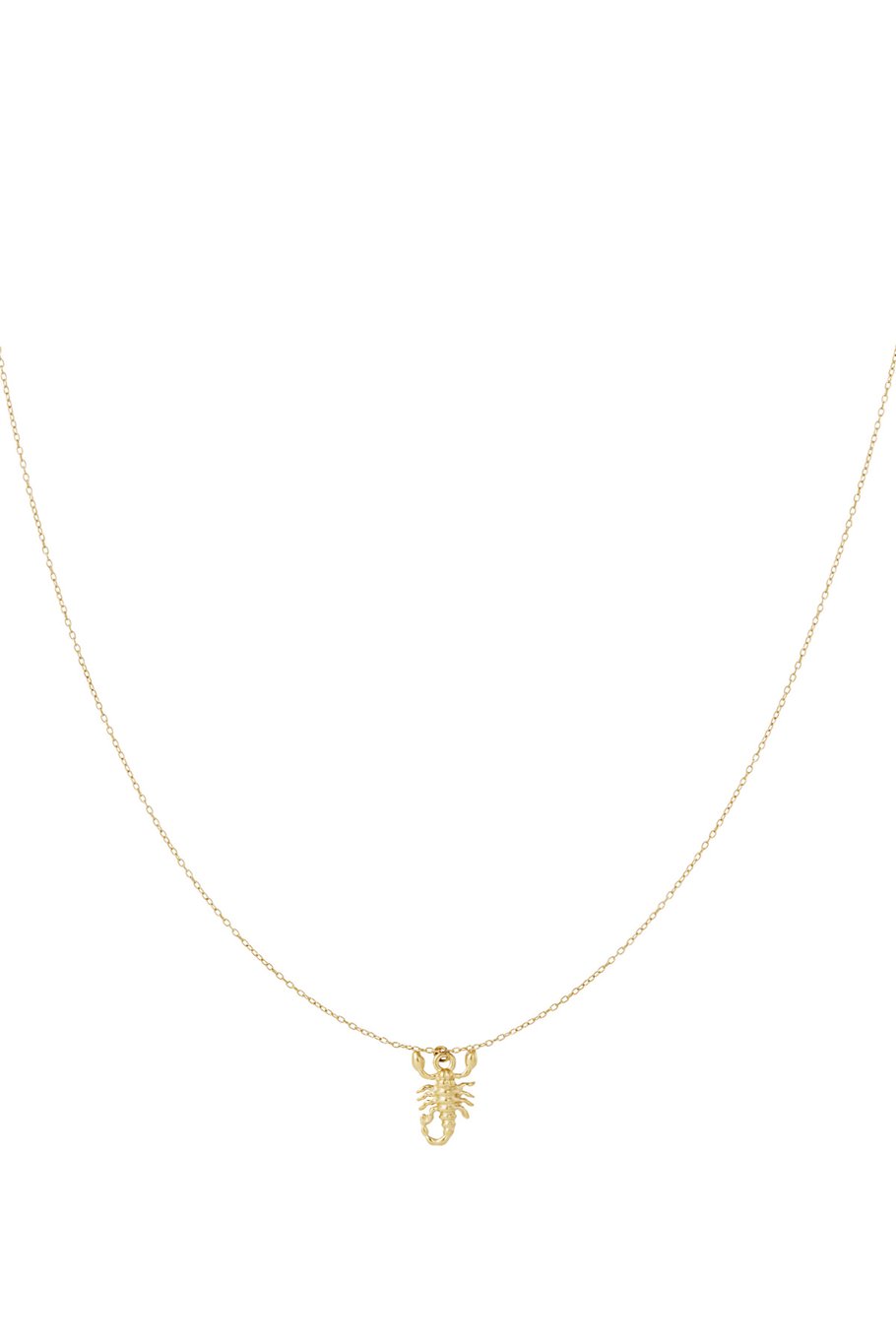 304S.steel Anhänger Halsketten Tier Casual Täglichen Einfache Serie frauen schmuck 