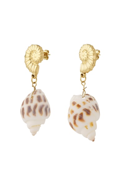 Pendientes de concha elegante h5 