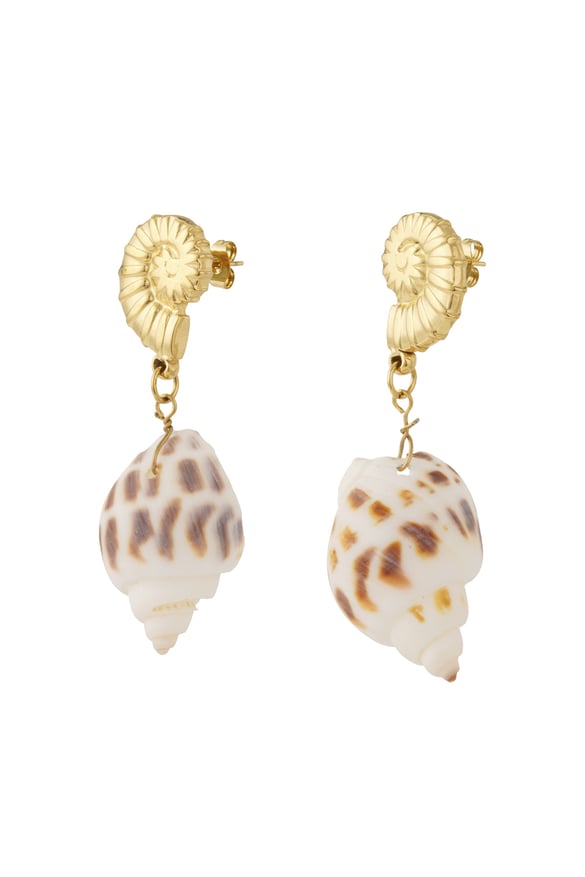 Boucles d&#39;oreilles coquillage élégance 2
