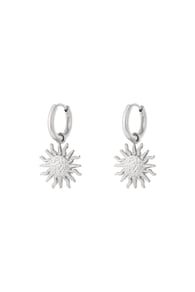 silver color Imagen2