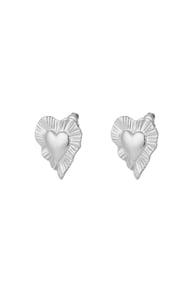 silver color Afbeelding2