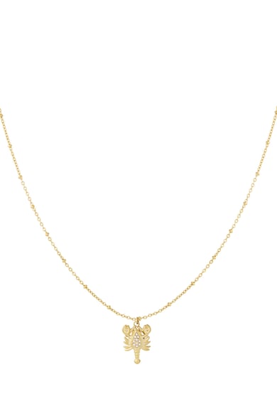 304S.steel Anhänger Halsketten Tier Casual Täglichen Einfache Serie frauen schmuck h5 