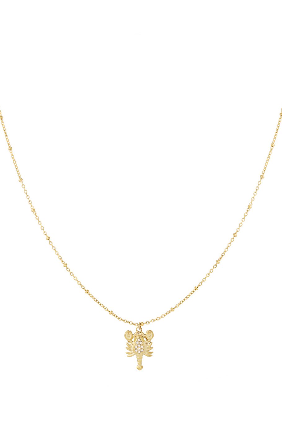 304S.steel Anhänger Halsketten Tier Casual Täglichen Einfache Serie frauen schmuck 