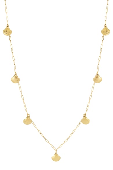 Shell Long Necklace h5 