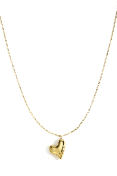 Stainless Steel Long Necklaces Heart Casual Daily Simple Series Women's jewelry h5 
