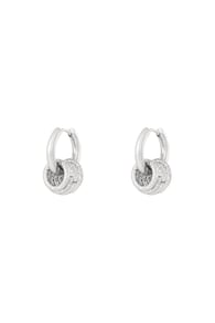 silver color Immagine2