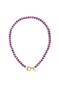 Purple Picture2