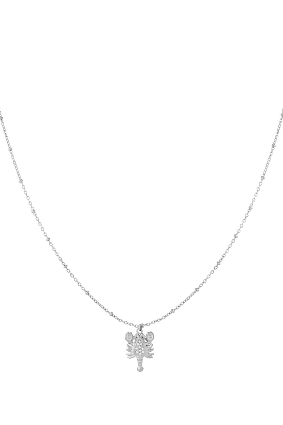 304S.steel Anhänger Halsketten Tier Casual Täglichen Einfache Serie frauen schmuck Bild3