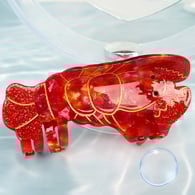 Red Image2