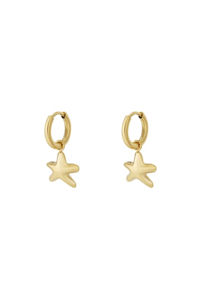 Mini starr Earrings h5 