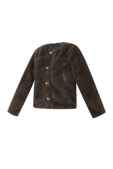 Faux Fur Jacket h5 Picture2