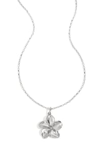 couleur argent Image2