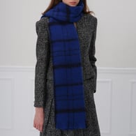 Blue Picture6
