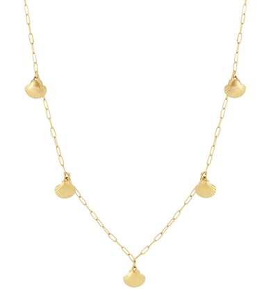 Shell Long Necklace h5 