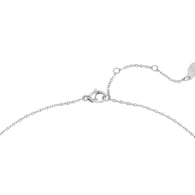 silver color 