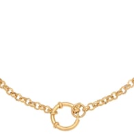 Gold color 