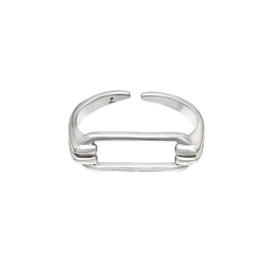 Geometrically shaped stainless steel ring Picture2
