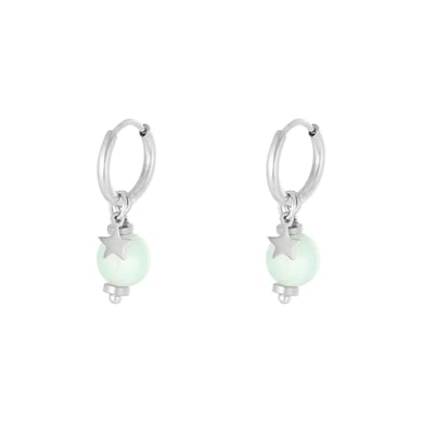 Earrings So Charming h5 Picture2