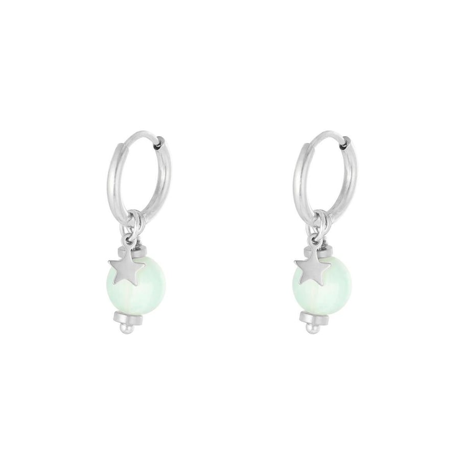 Earrings So Charming Picture2