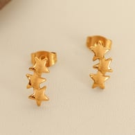 EH758 Gold Earrings 