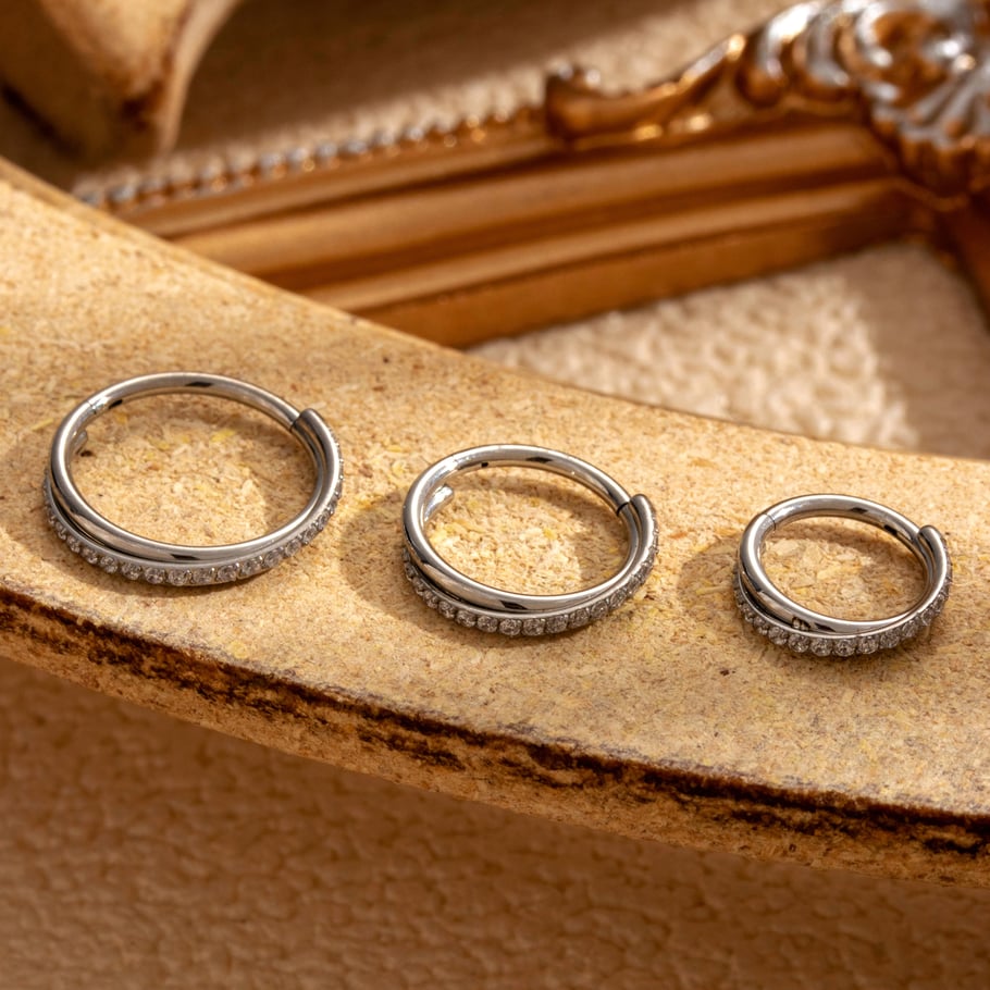 1 Pair Simple Series Classic Geometric Titanium Steel No Plating Material Zircon Women Hoop Earrings Picture2