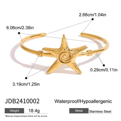 1 Piece Classic Series Natural Star Stainless Steel 18K Gold Plated Women Bangles h5 Picture2
