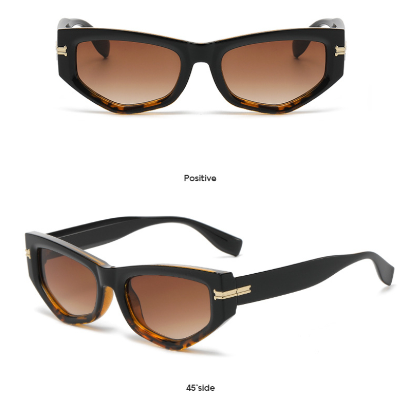 1 Pair Simple Series Daily Leopard Print Plastic Women Sunglasses Picture2