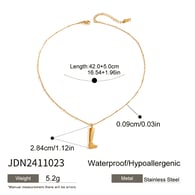 JDN2411023 