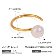 JDR2411018 