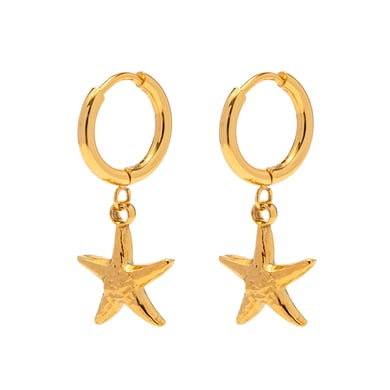 French retro ins style 18K gold stainless steel starfish pendant earrings fashionable women's versatile titanium steel non-fading earrings h5 