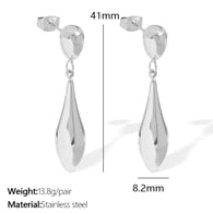 EH857S Silver Earrings Picture2