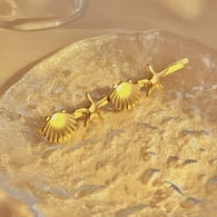  Bild5
