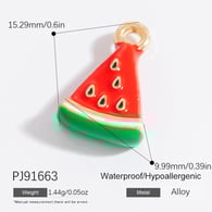 PJ91663 Picture9