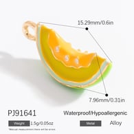PJ91641 Picture27