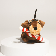Red and white scarf - dachshund puppy Picture6