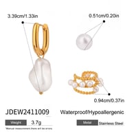 JDEW2411009 