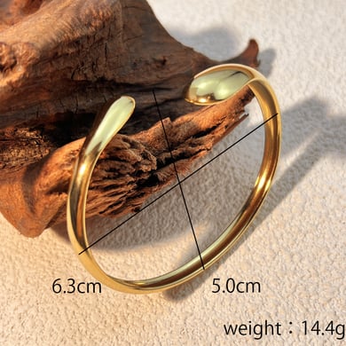 1 Piece Classic Solid Color Stainless Steel Gold Color Women's Bangles h5 