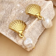 A pair of shells Picture2