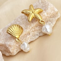 1 starfish shell each Picture3