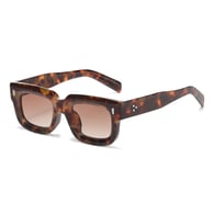 Cream tortoise shell frame gradient tea C5/8 Picture5