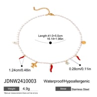 JDNW2410003 