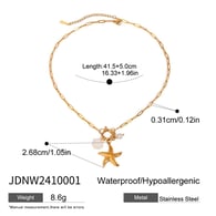 JDNW2410001 