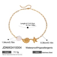 JDNW2410004 