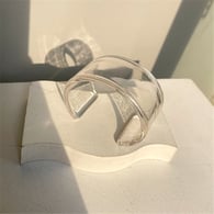 Transparent-Wide Version Picture28