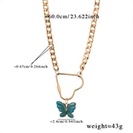 N1028 Picture2