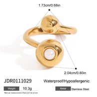 JDR0111029 