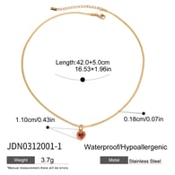 JDN0312001-1 