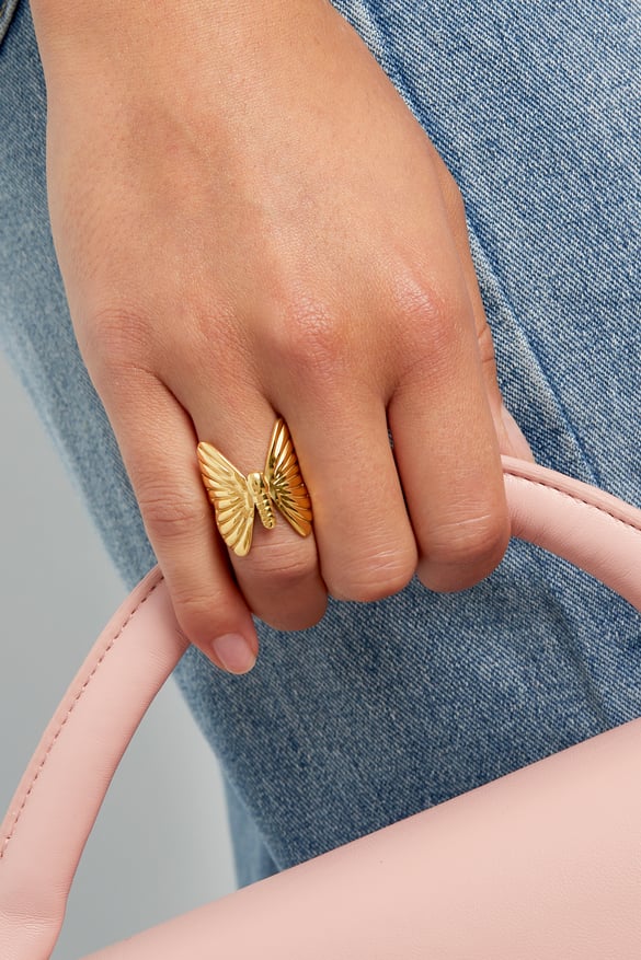 ring fly high 2