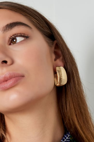 Earrings coarse stripes print - Silver Color color h5 Picture3