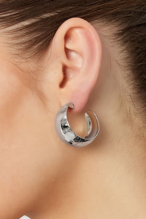 Earrings brushed wide - Silver Color color h5 Picture3